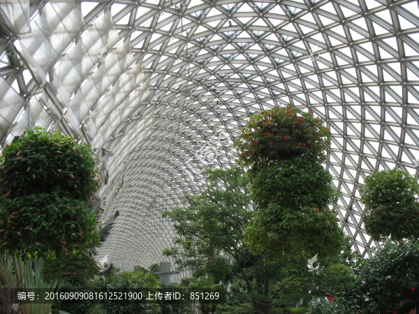 植物園大棚