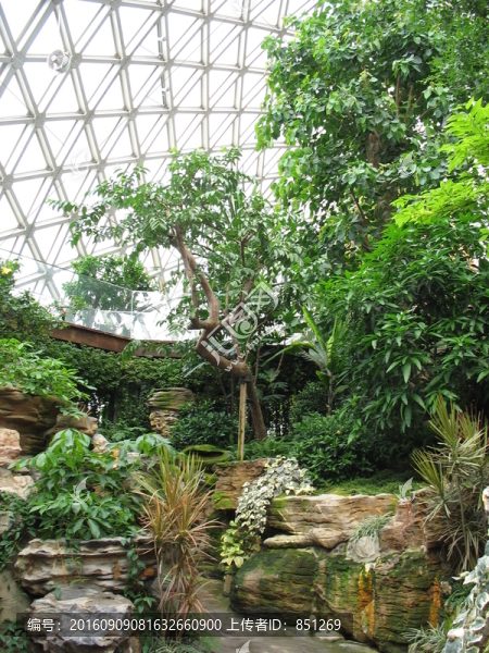 植物造景
