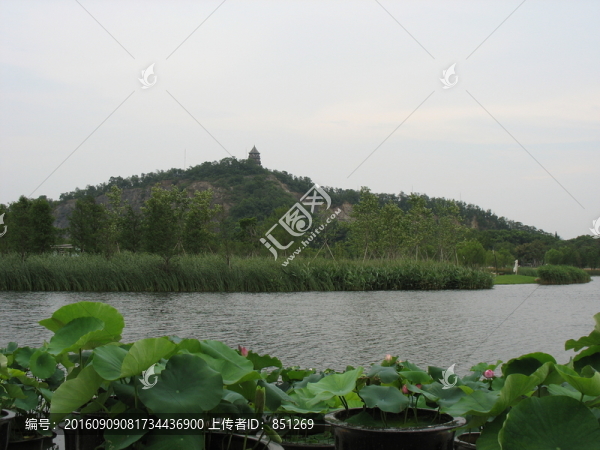 山湖荷