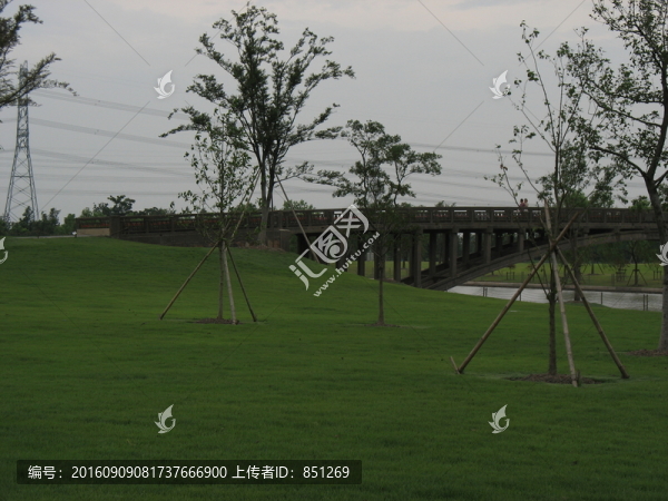 綠地草坪
