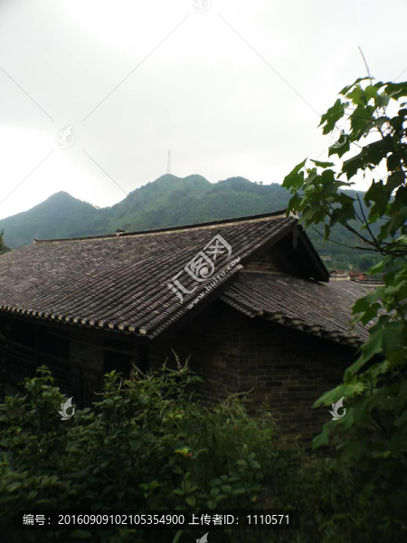 張谷英