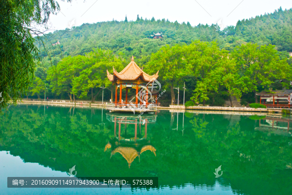 公園的春天