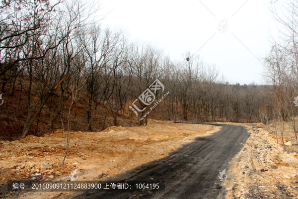 通往礦山的煤渣路