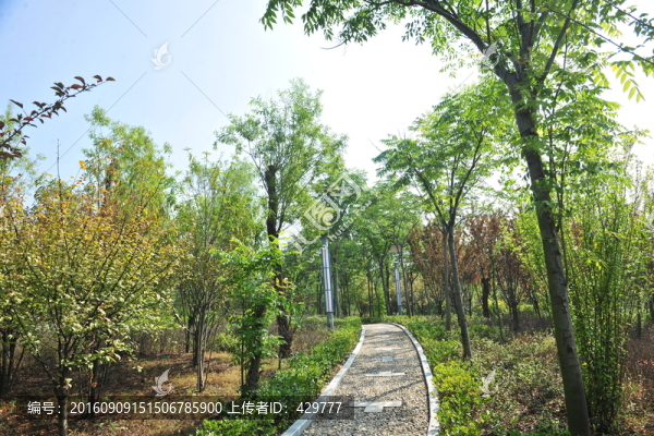 公園風(fēng)景