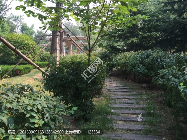 園中小路