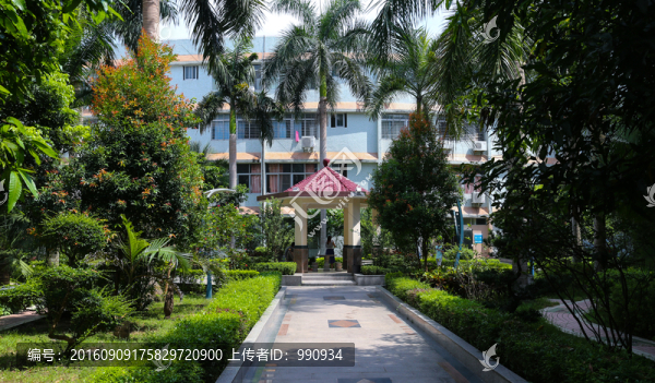 亭,綠化環(huán)境
