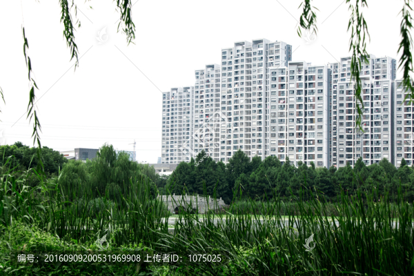 住宅樓