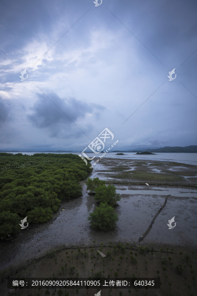 白沙村