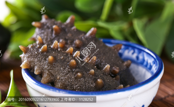 海參