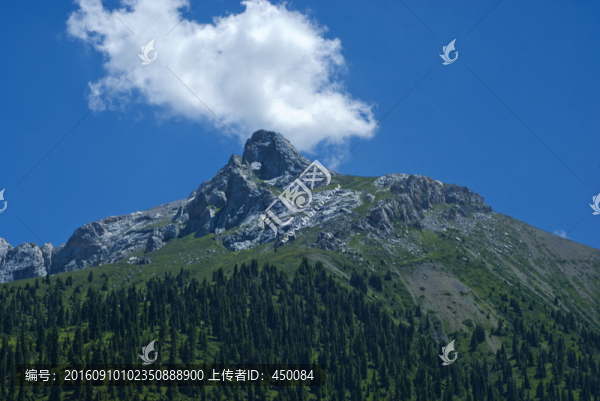 天山林場
