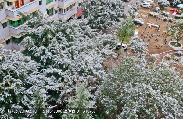 小區(qū)里的積雪