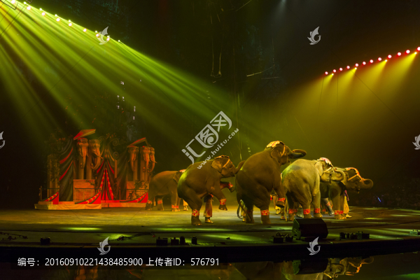 馬戲