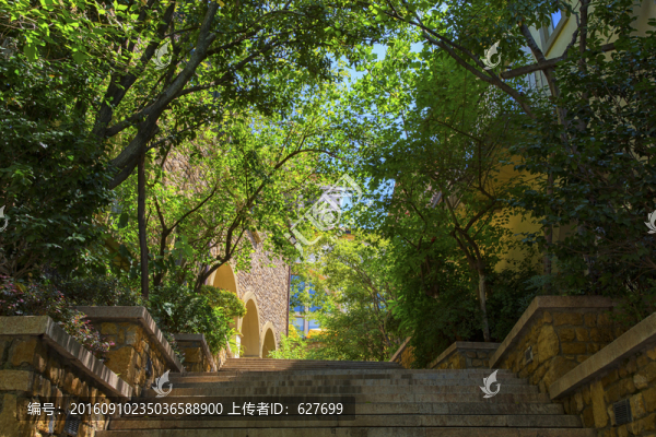 綠意掩映的臺階