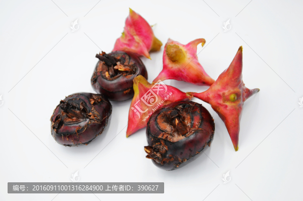 荸薺和水紅菱