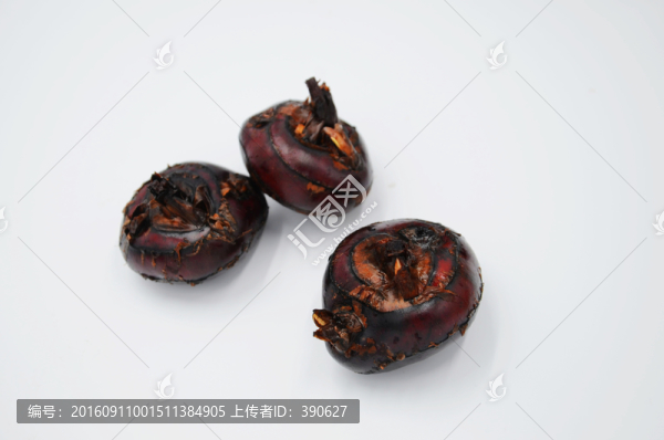 荸薺