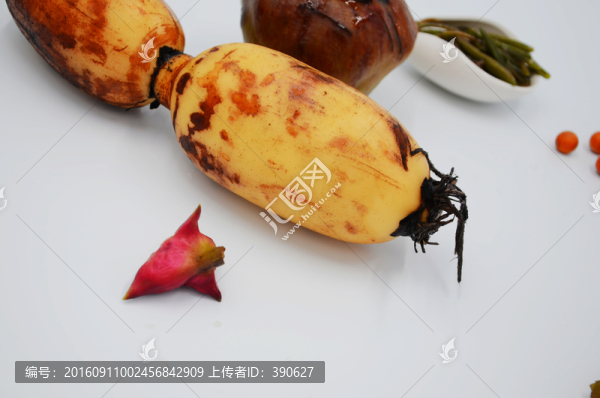 蓮藕,紅菱,莼菜,水八仙