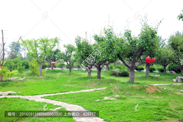 公園風(fēng)景,園林綠化