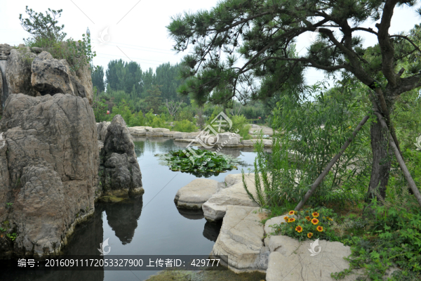 水池,,水塘