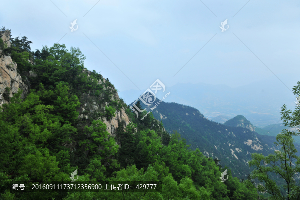 大山風(fēng)景,,,,森林植被