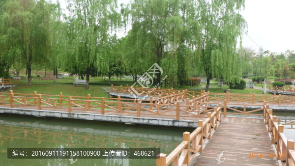 濕地美景
