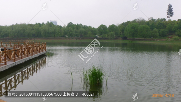 濕地公園水面