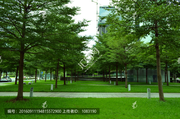 城市綠化