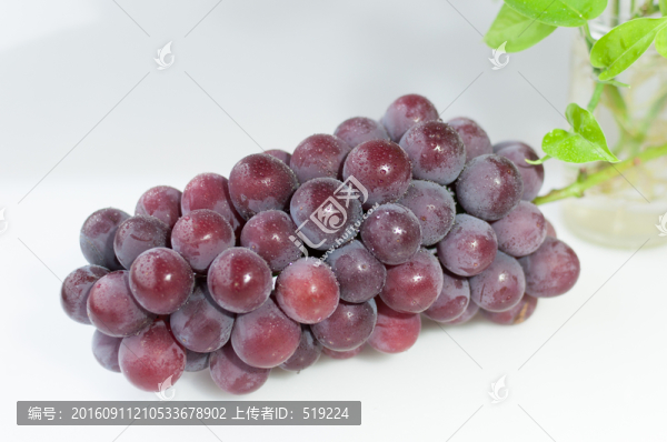 葡萄