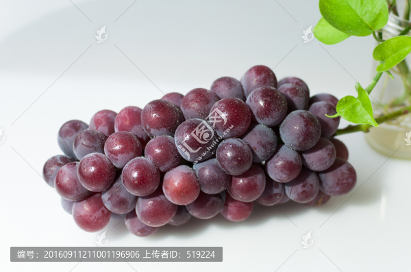 葡萄