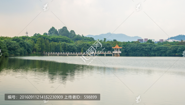 大夫山森林公園