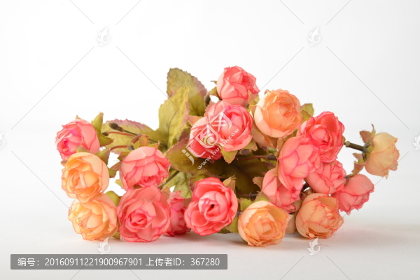 包裝設(shè)計花卉背景