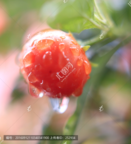 水珠