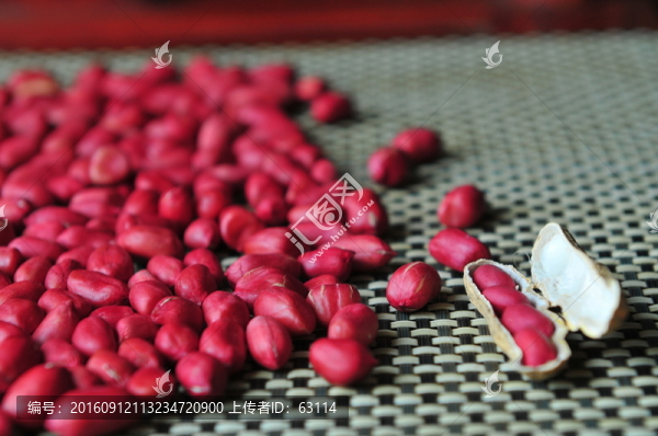 食材,花生,紅皮花生,養(yǎng)生