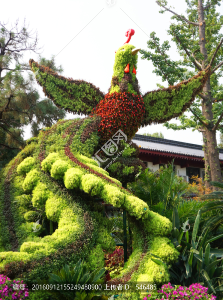 鳳凰,城市草塑