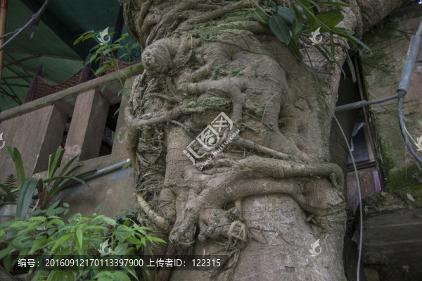 平樂古鎮(zhèn)