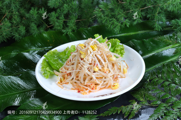 拌豆芽
