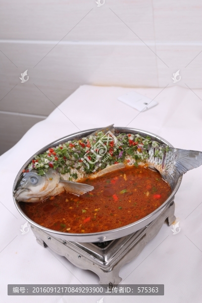 過(guò)江魚(yú)
