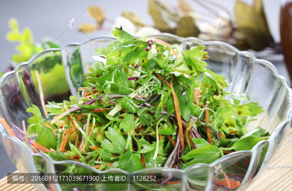 拌芹菜苗