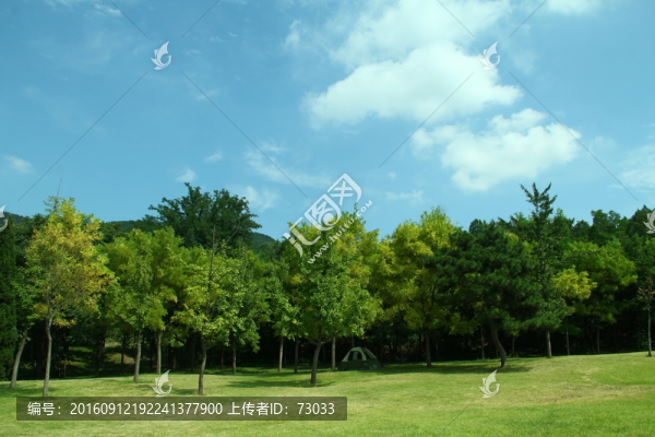 綠地