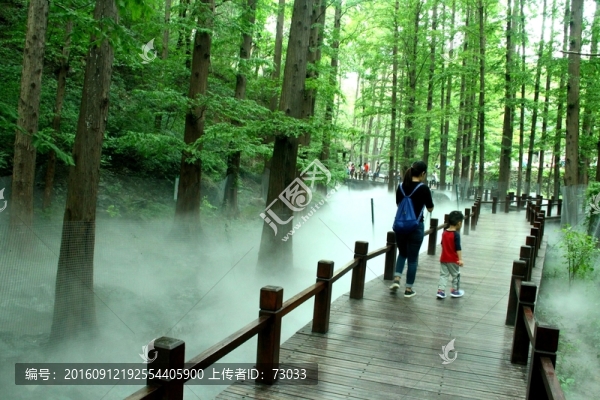云霧木棧橋