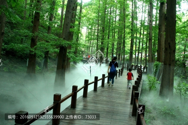 云霧木棧道
