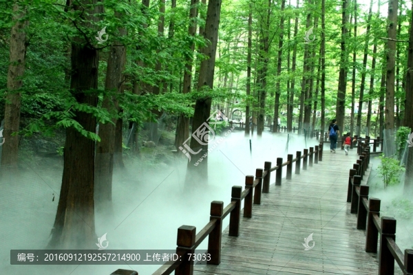 云霧木棧橋
