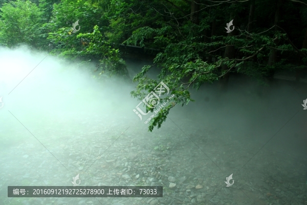 晨霧