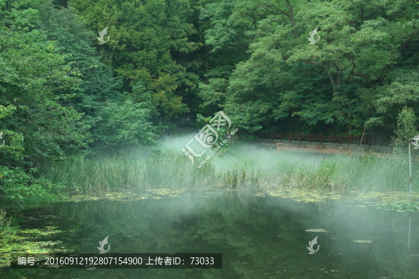 晨霧