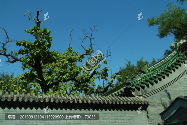 屋頂