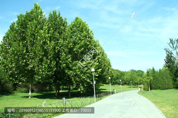 公園綠化