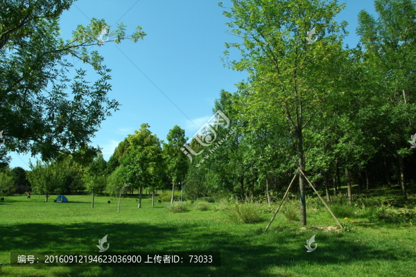 綠地