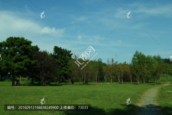 草地