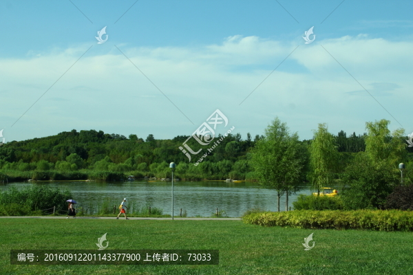湖邊草地
