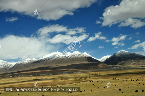 高原雪山