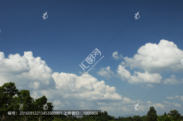 高清藍(lán)天白云林子樹(shù)木背景